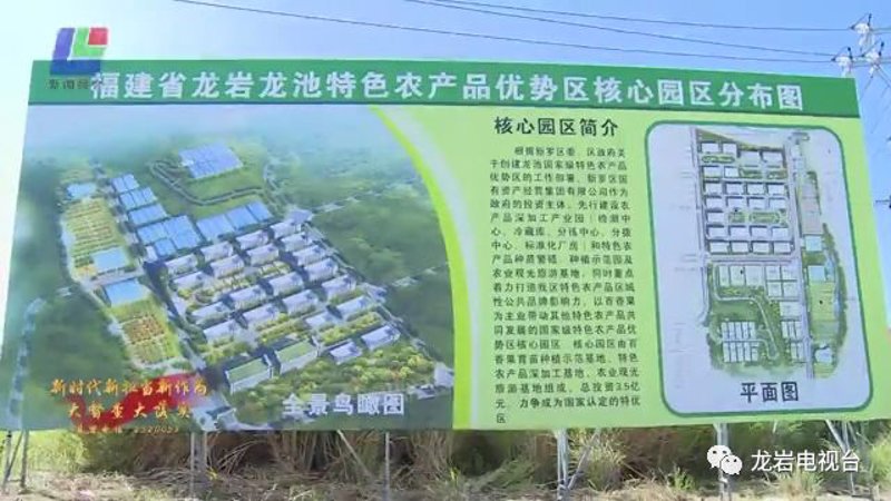 龙岩煤炭贸易：推动地方经济的绿色动力